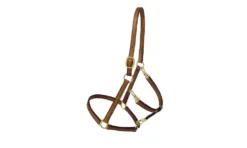 Tory Leather Track/Grooming Conversion Halter With Brass Hardware