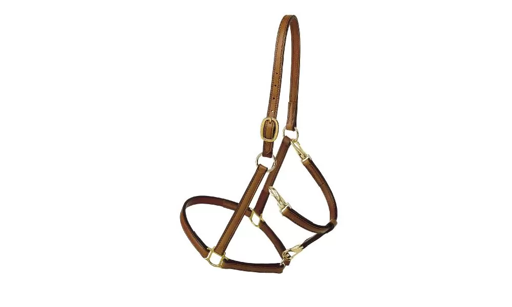 Tory Leather Track/Grooming Conversion Halter With Brass Hardware - Image 6