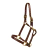Tory Leather Triple Stitched Halter - Snap & Brass Hardware