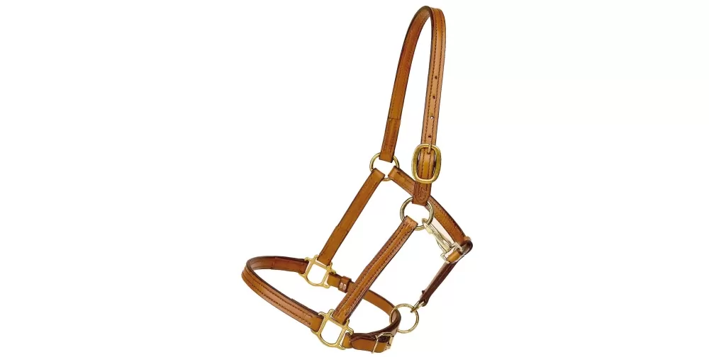 Tory Leather 3/4" Halter - Crown Buckle & Brass Hardware - Image 4