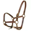 Tory Leather 5/8" Halter - Crown Buckle & Brass Hardware