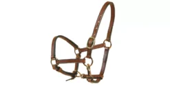 Tory Leather 5/8" Halter - Crown Buckle & Brass Hardware