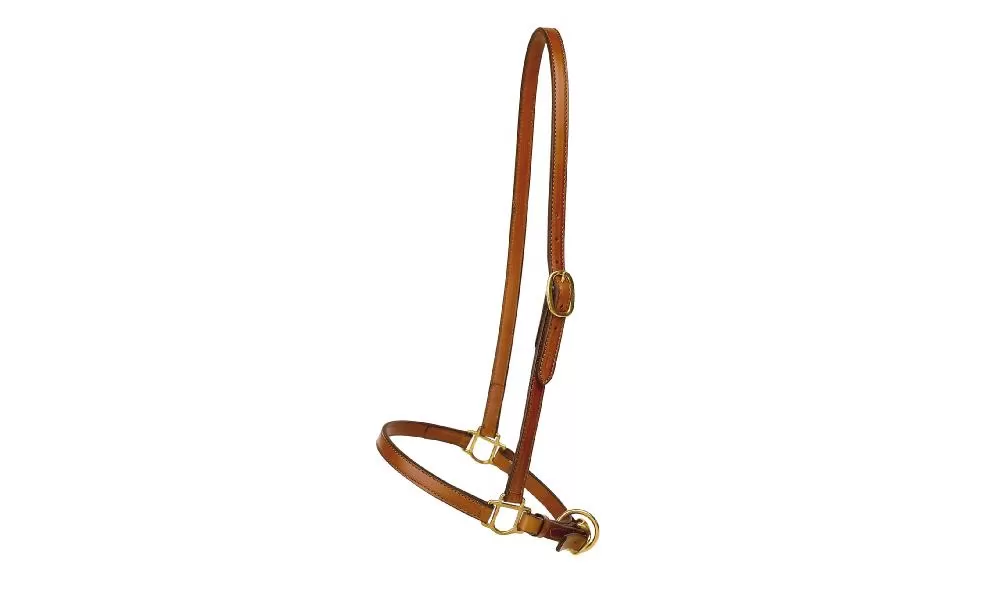 Tory Leather 3/4" Grooming Halter - Brass Hardware - Image 3