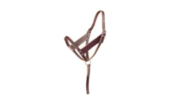 Tory Leather Foal Wide Cheek Slip Halter - Grab Strap