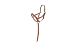 Tory Leather Leather Riveted Slip Foal Halter