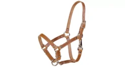 Tory Leather Leather Foal Riveted Halter