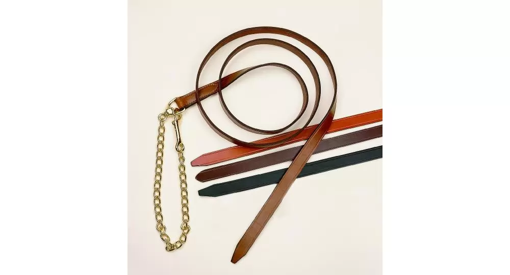 Tory Leather Single Ply Lead With Brass Plated Chain - Image 4