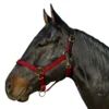 Leather Crown Breakaway Weanling Halter
