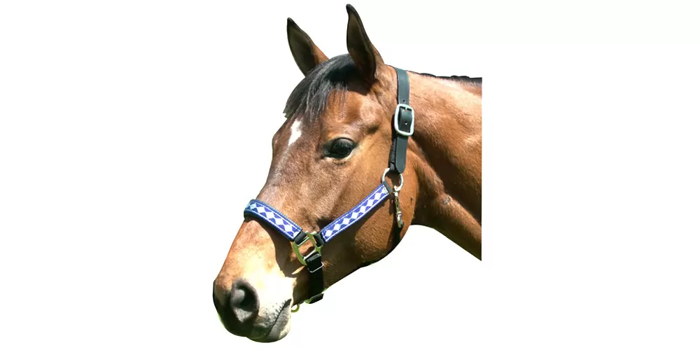 Leather Crown Diamond Pattern Halter - Image 2