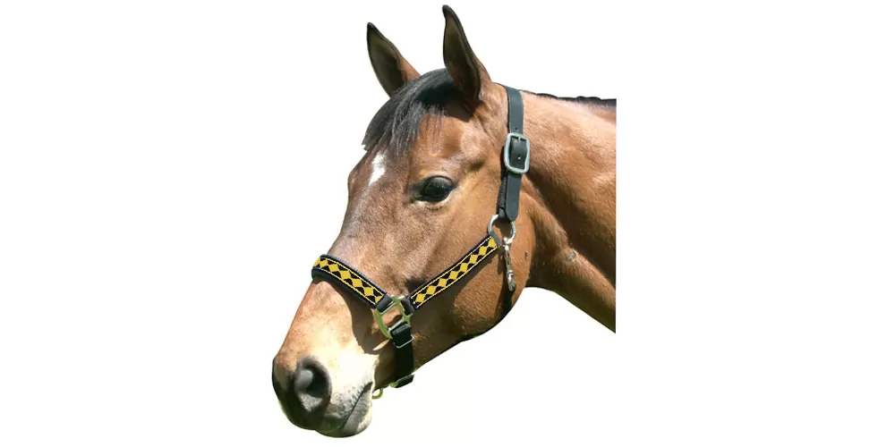 Leather Crown Diamond Pattern Halter - Image 3