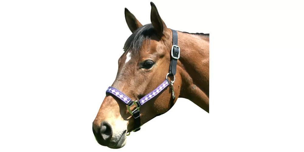 Leather Crown Diamond Pattern Halter - Image 6