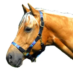 Highland Nylon Halter