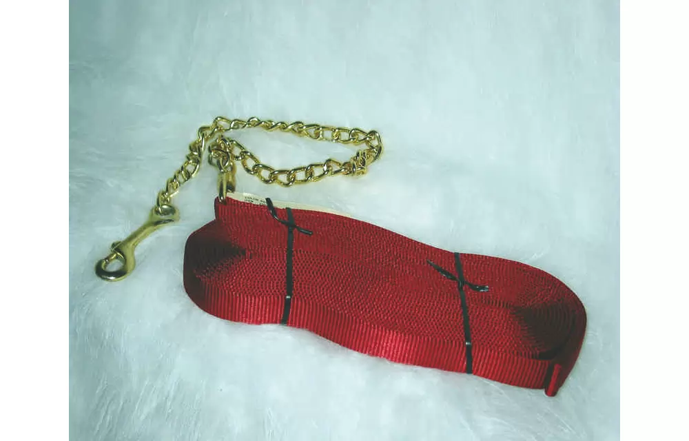 Hamilton Lunge Line With 24" Chain - Image 3