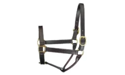 Perris Leather Collection Premium Track Style Leather Show Halter