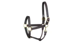 Perris Leather Collection Premium Track Style With Snap Leather Show Halter