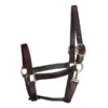 Perris Leather Collection Track Style Leather Turnout Halter With Snap At Throat