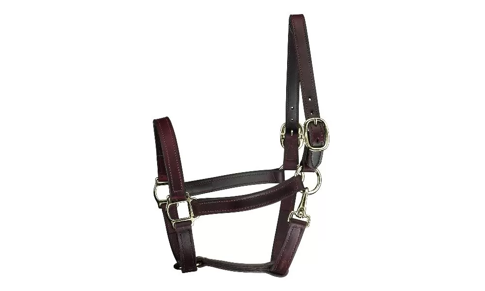 Perris Leather Collection Track Style Leather Turnout Halter With Snap At Throat - Image 3