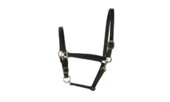 Perris Leather Collection 3/4 In. Leather Turnout Halter