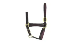 Perris Leather Collection Economy Leather Halter