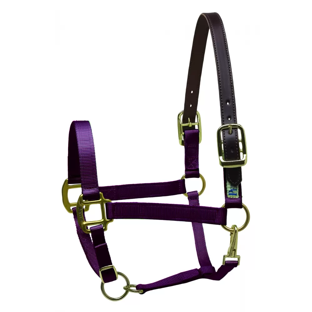 Perris Premium Nylon Safety Halter - Image 9