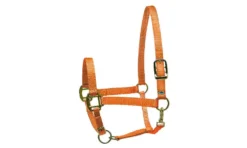 Perris Leather Collection Nylon SuperHalter