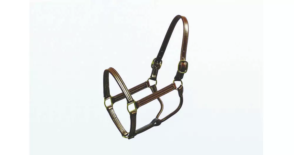 Halter Thoroughbred 1 Inch - Image 2