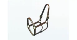 Halter Thoroughbred 1 Inch