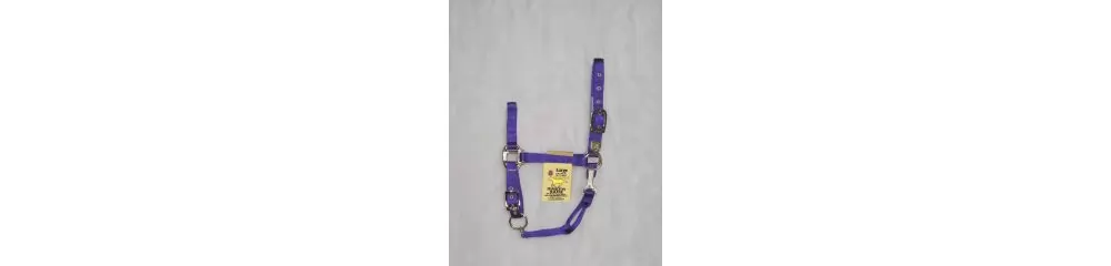 Hamilton Horse Halter With Adjustable Chin And Snap Throat - Image 6