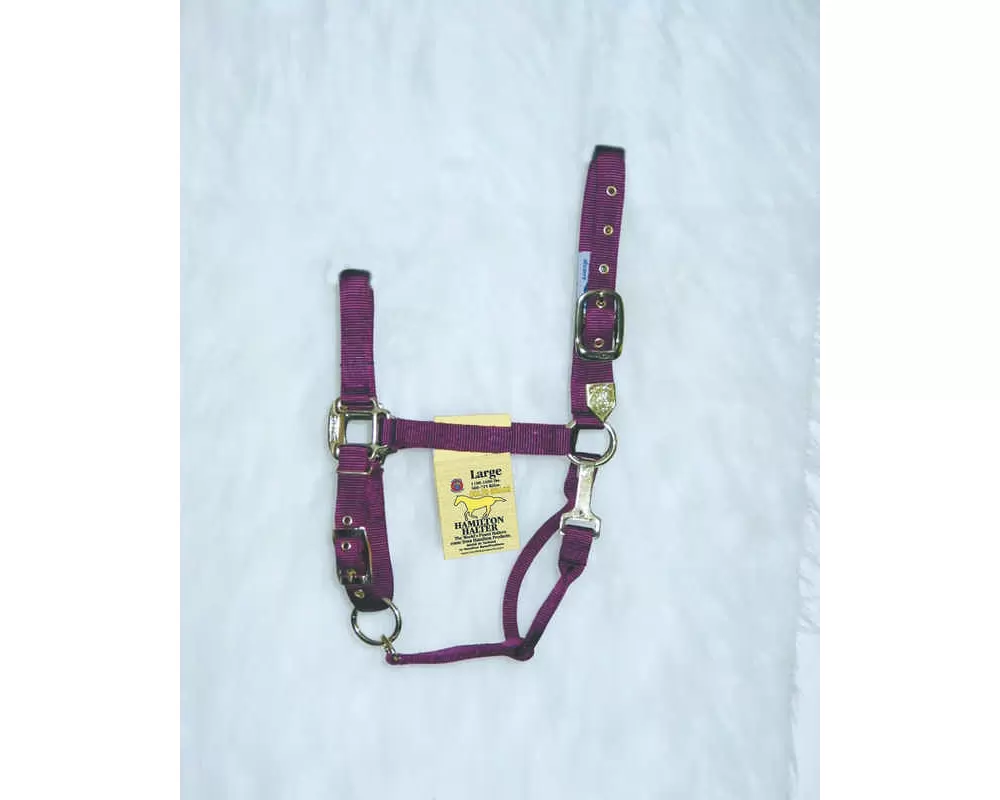 Hamilton Horse Halter With Adjustable Chin And Snap Throat - Image 7