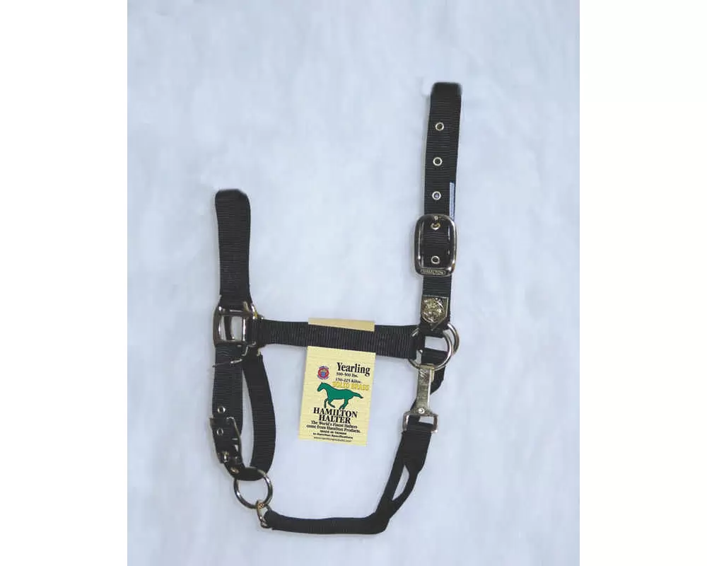Hamilton Horse Halter With Adjustable Chin And Snap Throat - Image 8