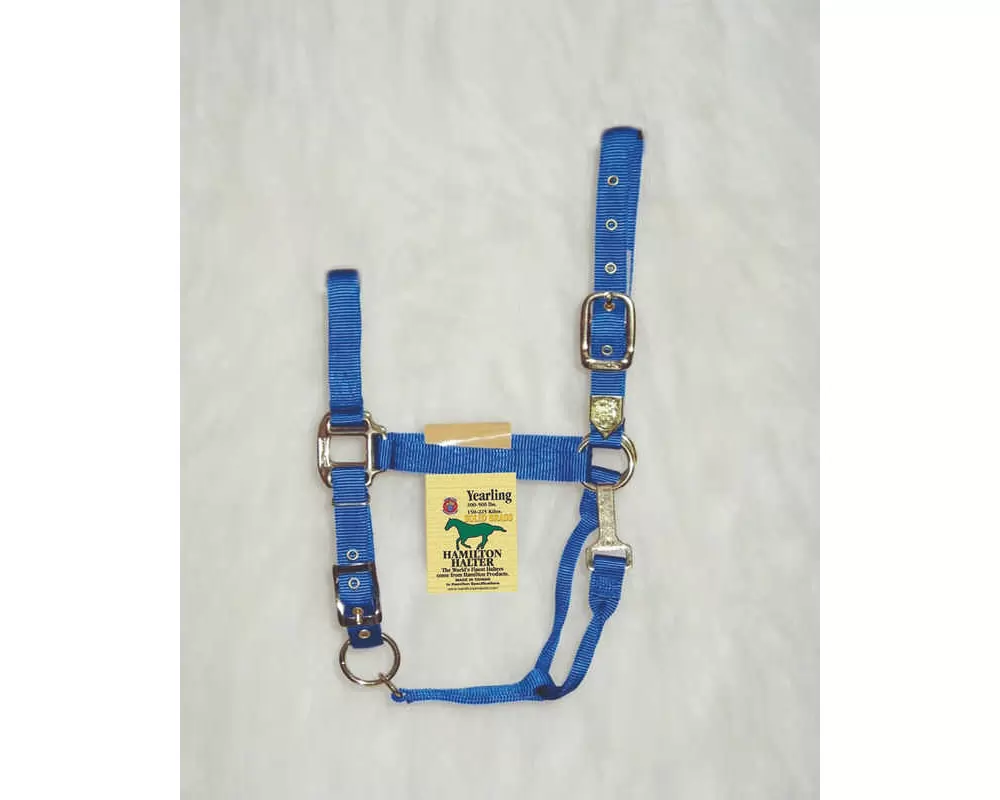 Hamilton Horse Halter With Adjustable Chin And Snap Throat - Image 9