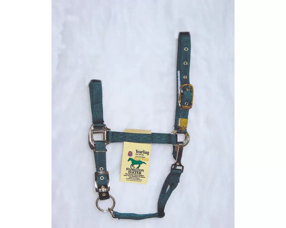 Hamilton Horse Halter With Adjustable Chin And Snap Throat - Image 10
