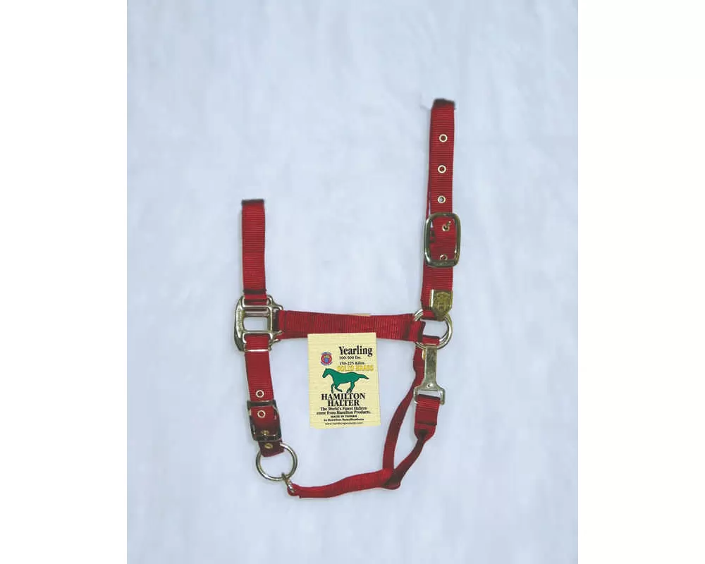 Hamilton Horse Halter With Adjustable Chin And Snap Throat - Image 11