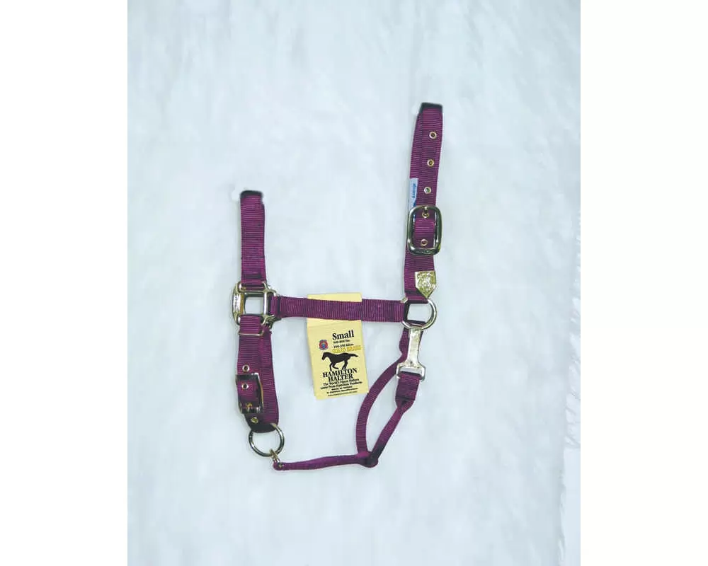 Hamilton Horse Halter With Adjustable Chin And Snap Throat - Image 15