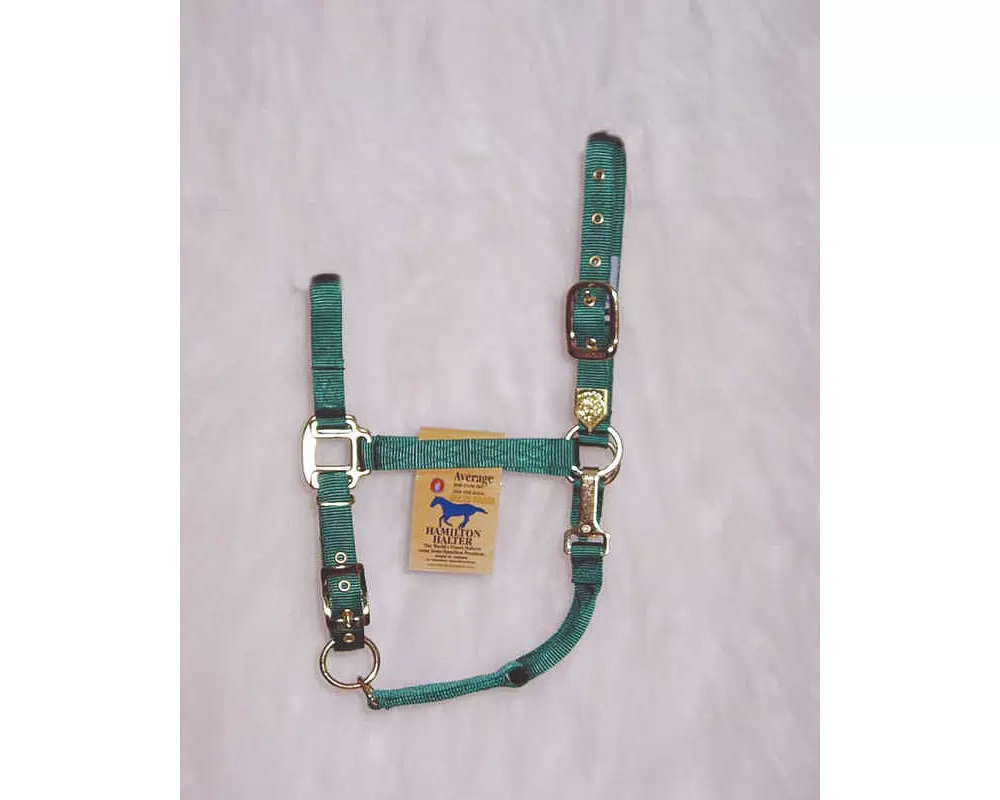 Hamilton Horse Halter With Adjustable Chin And Snap Throat - Image 17
