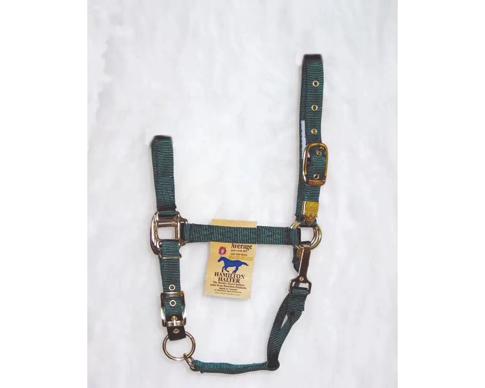 Hamilton Horse Halter With Adjustable Chin And Snap Throat - Image 18