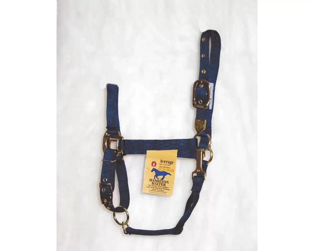 Hamilton Horse Halter With Adjustable Chin And Snap Throat - Image 19