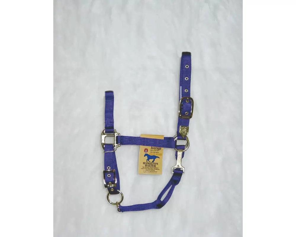 Hamilton Horse Halter With Adjustable Chin And Snap Throat - Image 20