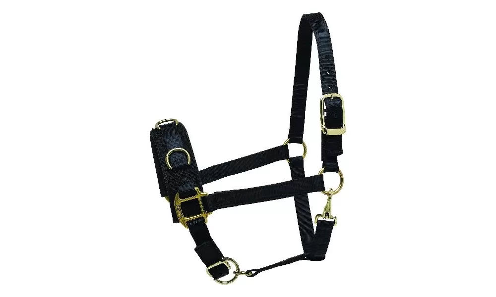 Perris Nylon Lunge Caveson