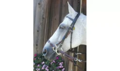 Nunn Finer Kineton Noseband