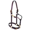 Weaver 1" Leather Track Halter