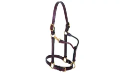 Weaver 1" Leather Track Halter