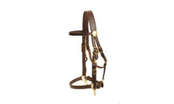 Tory Leather Heavy Duty Halter/Bridle Combo