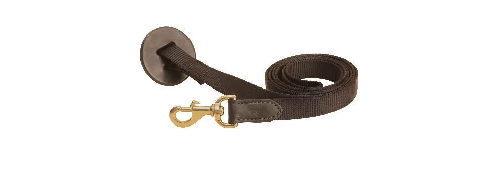Tory Leather Nylon And Leather Lead