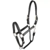 Gatsby Padded Leather Halter - Black - Horse