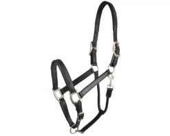 Gatsby Padded Leather Halter - Black - Horse