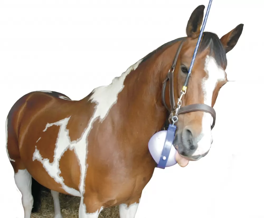 LikIt Boredom Buster - Image 6