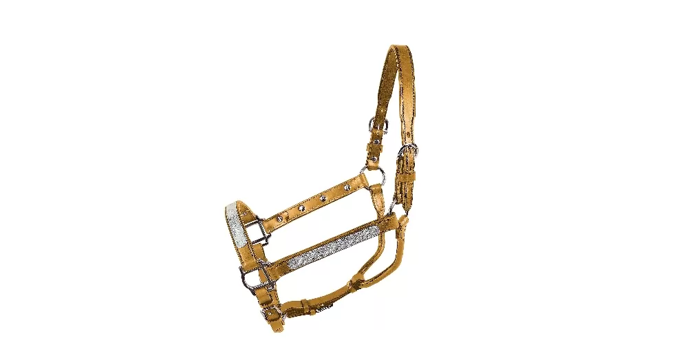 Tory Leather Oklahoma Straight Cheek Economy Show Halter - Image 2