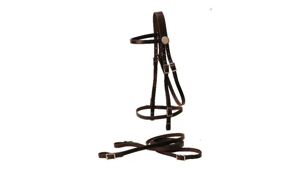 Tory Leather Browband Bridle & Reins Filling - Buckle Bit Ends - Image 2