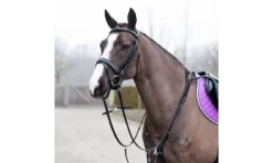 Horze Venice Combined Martingale